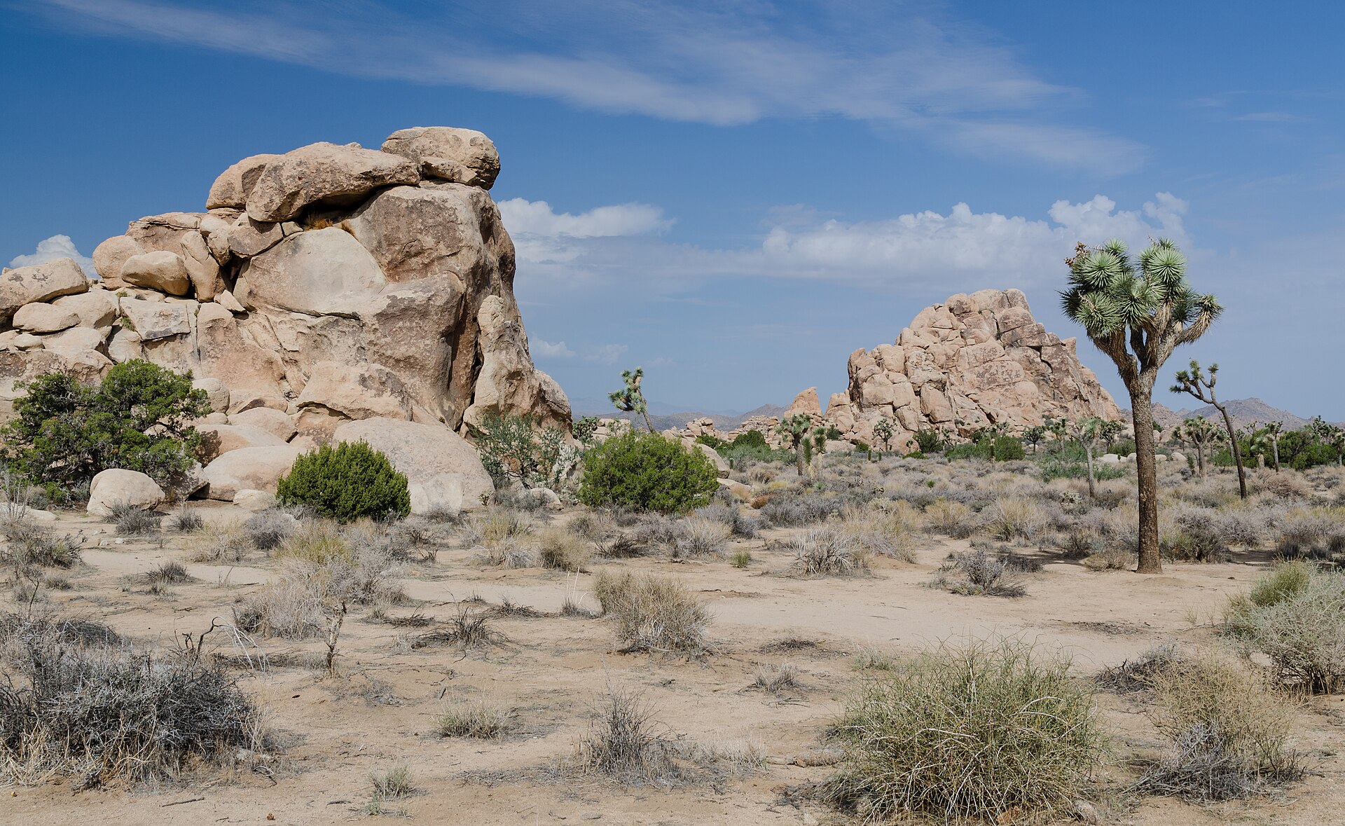 Joshua trees and piled granite boulders under a wide blue desert sky