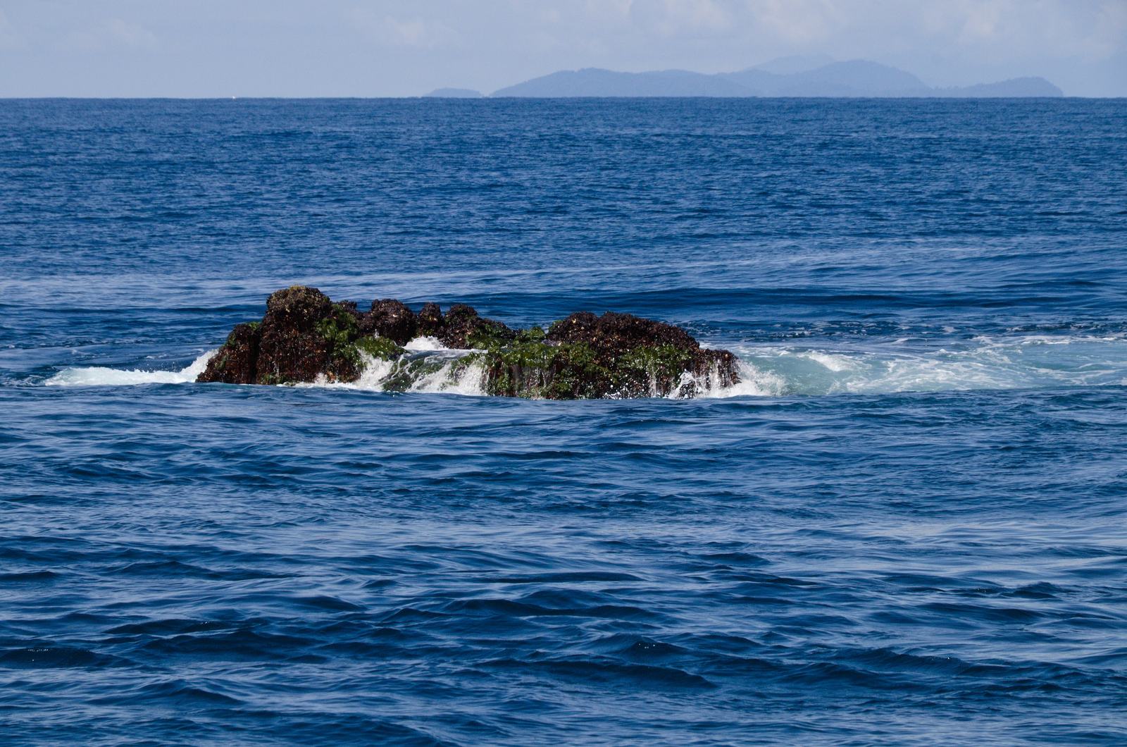 Divers among schooling fish on the pinnacle at Richelieu Rock