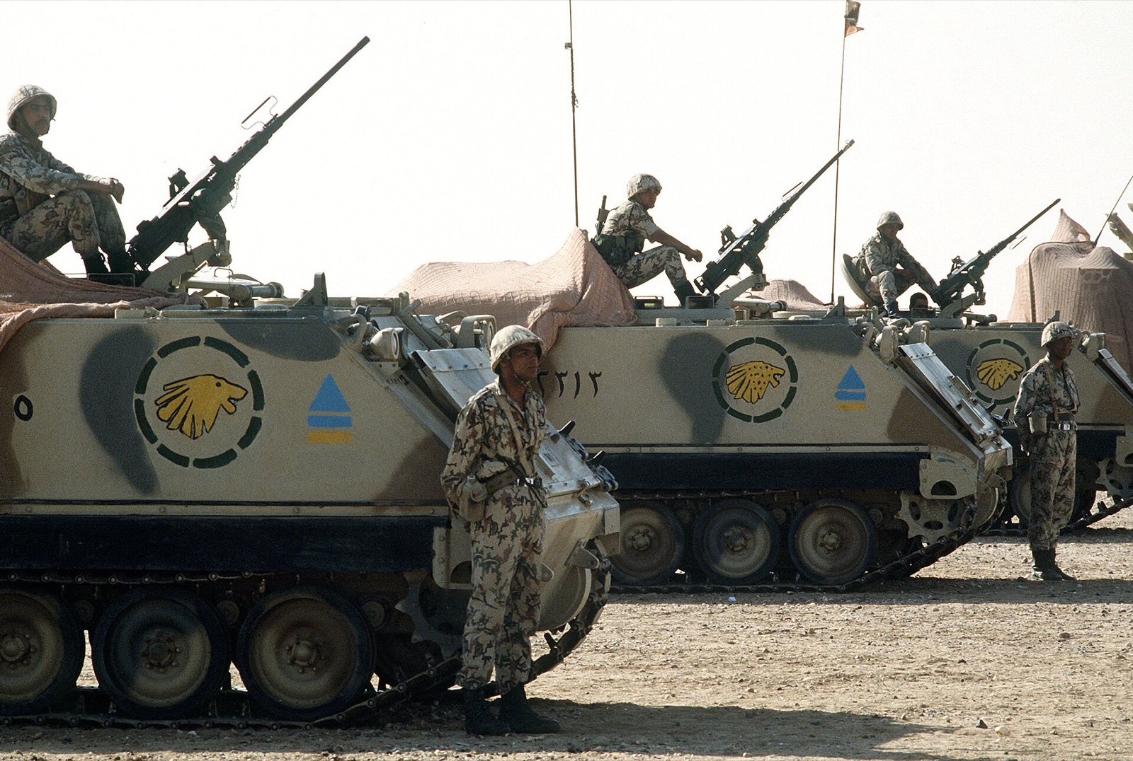 M113 armoured personnel carriers lined up in desert scrub
